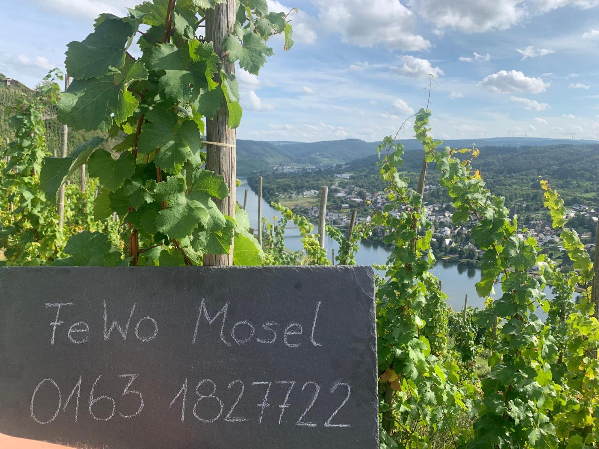 Ferienwohnung Mosel Bernkastel-Kues Exterior foto